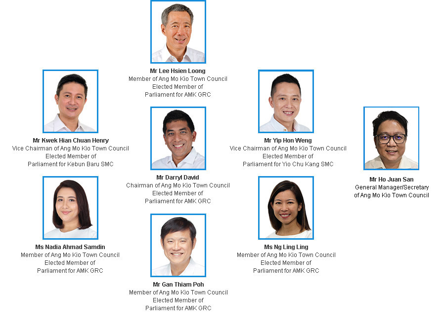 Our Organization Structure