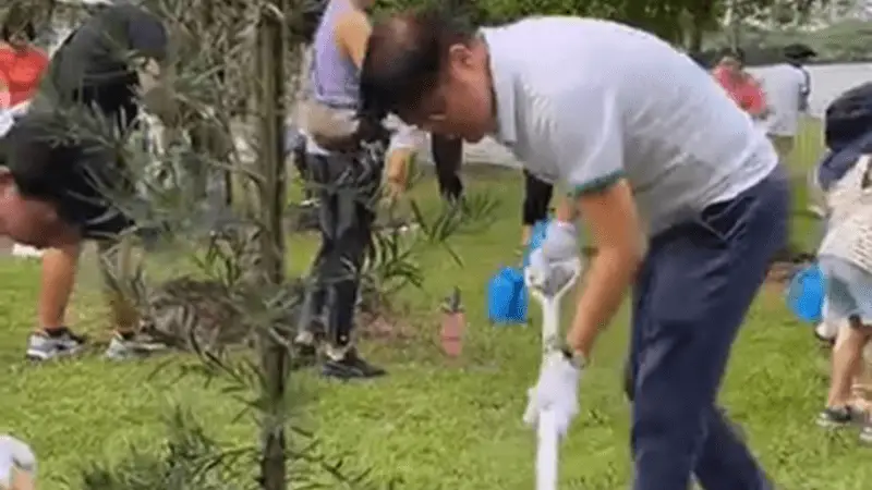 Tree Planting Activity @ Fernvale division on 25 May 2024