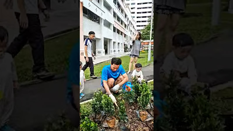 Tree Planting Activity at Ang Mo Kio-Hougang 2025