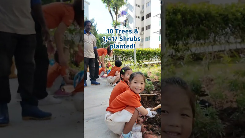 Tree Planting @ Cheng San 2025