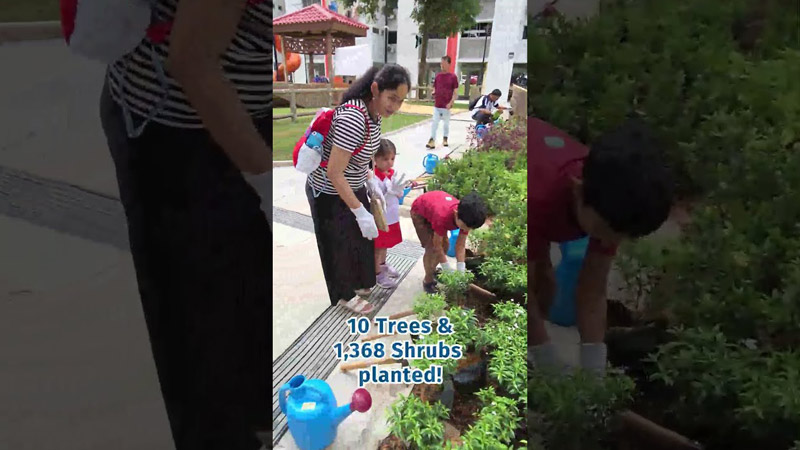 Tree Planting @ Teck Ghee 2025